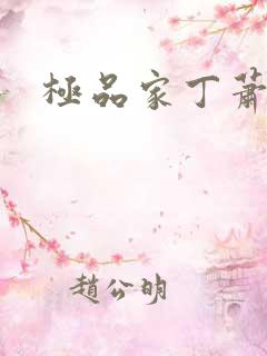 极品家丁萧夫人