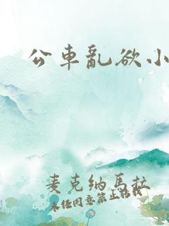 公车乱欲小说