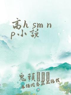 高h sm np小说