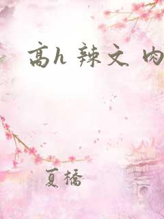 高h 辣文 肉