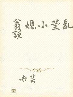 翁媳小莹乱情小说