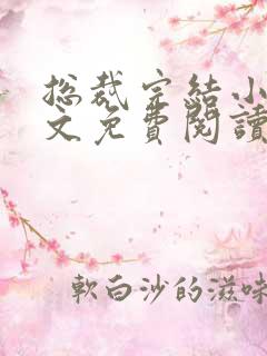 总裁完结小说全文免费阅读