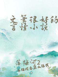 文笔很好的现代言情小说