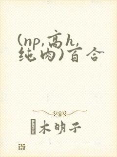 (np,高h,纯肉)百合