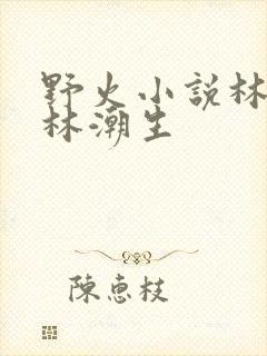 野火小说林晚晚林潮生