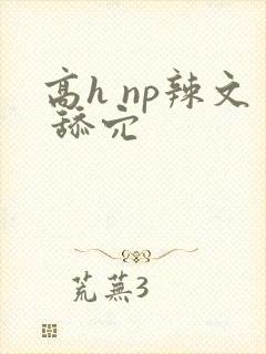 高h np辣文 舔穴