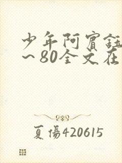 少年阿宾钰慧1～80全文在线阅读