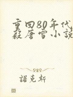 重回80年代李毅唐雪小说