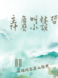 主角叫林哲的是什么小说