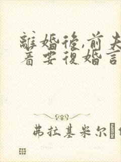 离婚后,前夫赖着要复婚言情小说