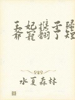 王妃携子归来王爷宠翻了短剧免费