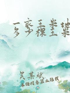 一亩玉米地能种多少棵玉米