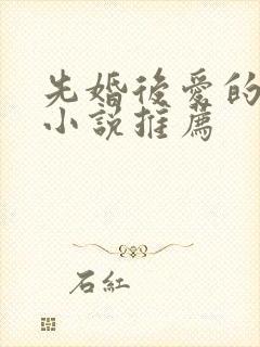 先婚后爱的军婚小说推荐
