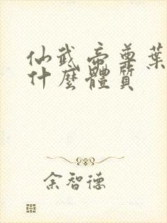 仙武帝尊叶辰是什么体质