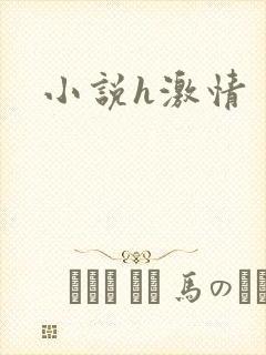 小说h激情