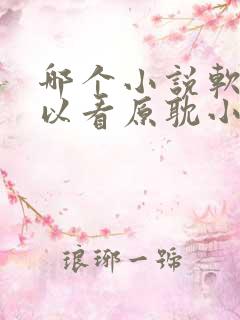 哪个小说软件可以看原耽小说