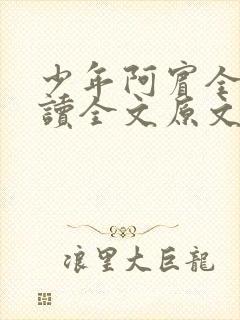 少年阿宾全文阅读全文原文