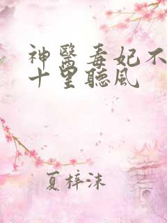 神医毒妃不好惹十里听风