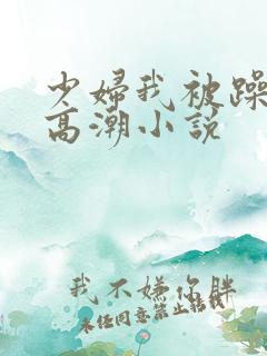 少妇我被躁爽到高潮小说