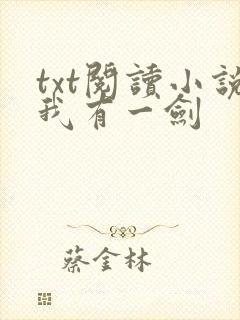 txt阅读小说我有一剑