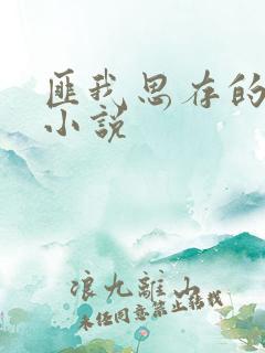 匪我思存的全部小说