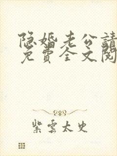 隐婚老公请低调免费全文阅读