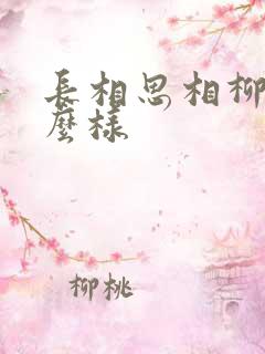 长相思相柳长什么样