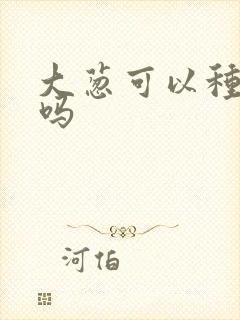 大葱可以种重茬吗