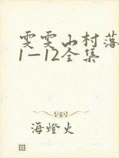 雯雯山村落难记1—12全集