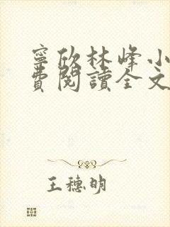 宁欣林峰小说免费阅读全文无弹窗