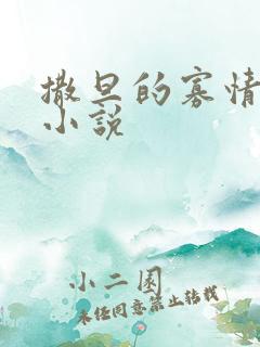 撒旦的寡情妹妹小说