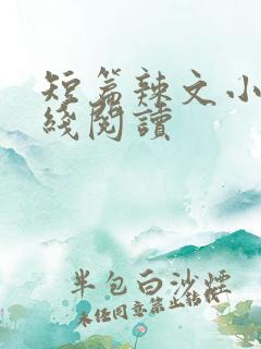 短篇辣文小说在线阅读