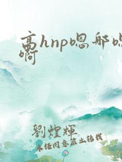 高hnp嗯哪嗯啊