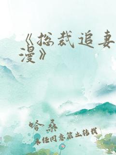 《总裁追妻路漫漫》