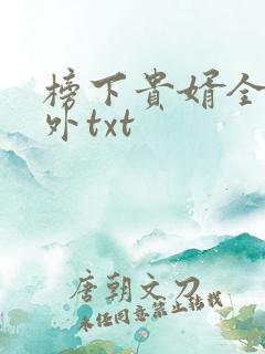 榜下贵婿全文番外txt