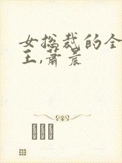 女总裁的全能兵王,萧晨