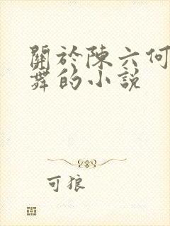 关于陈六何沈轻舞的小说