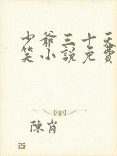少爷三十天后会笑小说免费阅读