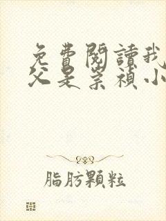 免费阅读我的岳父是崇祯小说