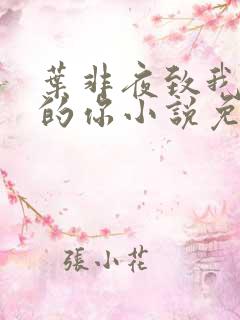 叶非夜致我最爱的你小说免费阅读