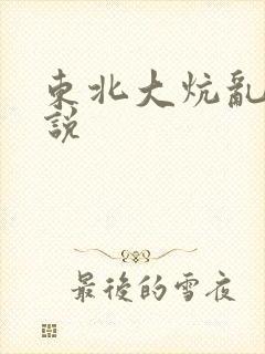 东北大炕乱入小说