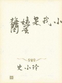 梅姨是我小妈的闺蜜