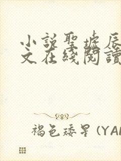 小说圣墟辰东全文在线阅读