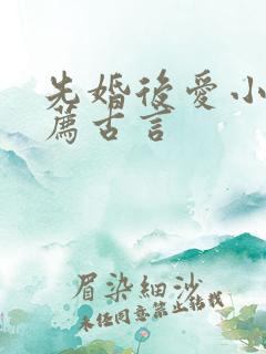 先婚后爱小说推荐古言
