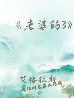 《老婆的3》
