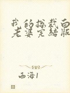 我的总裁白富美老婆完结版