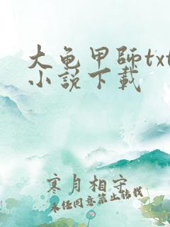 大龟甲师txt小说下载
