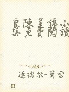 良陈美锦小说全集免费阅读