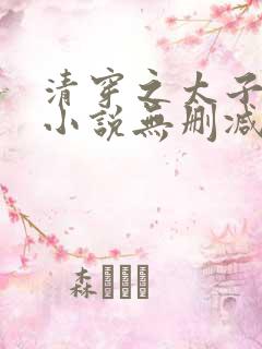 清穿之太子娇妃小说无删减