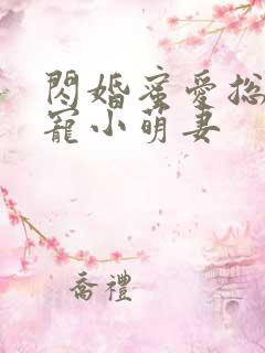 闪婚蜜爱总裁独宠小萌妻